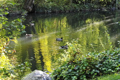 photo 2109805