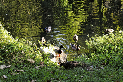 photo 2109819