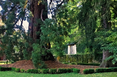 photo 2110539