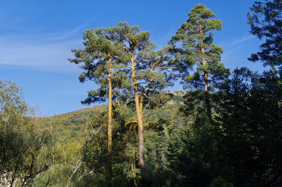 photo 2110550