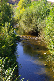 photo 2120970