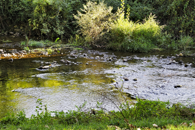 photo 2120971