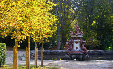 photo 2147789