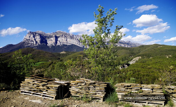 photo 2142522