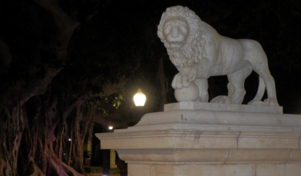 P1010273.JPG