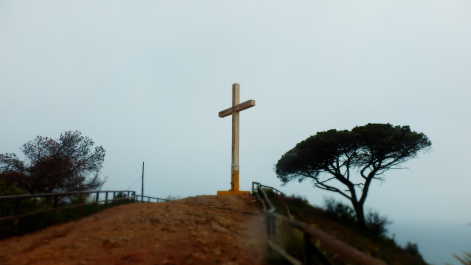 photo 2148919