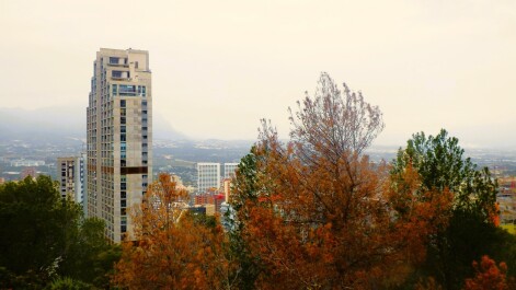 photo 2148930