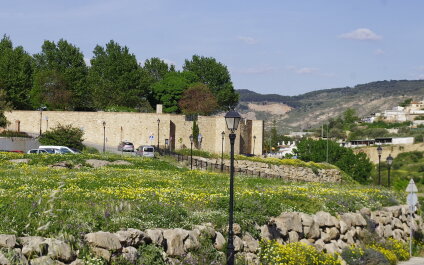 photo 2137981