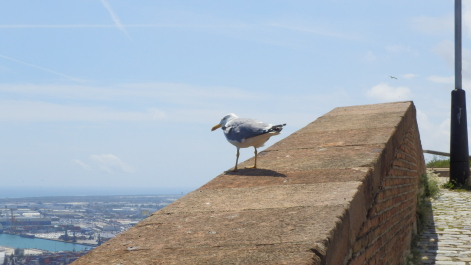 photo 2131580