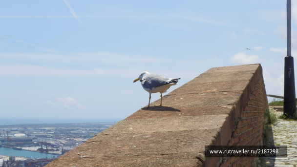 photo 2131580