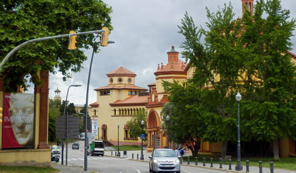 P1010717.jpg