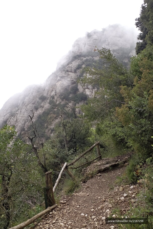 photo 2137847