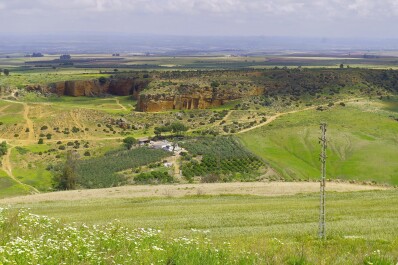 photo 2144973