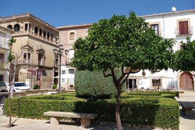 photo 2117276