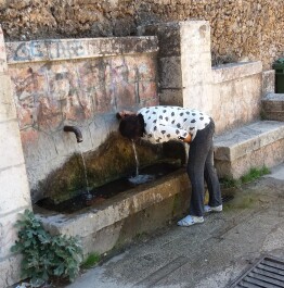 photo 2124314