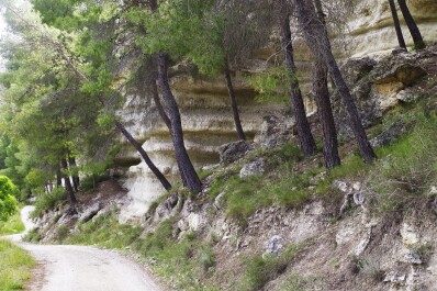 photo 2142627