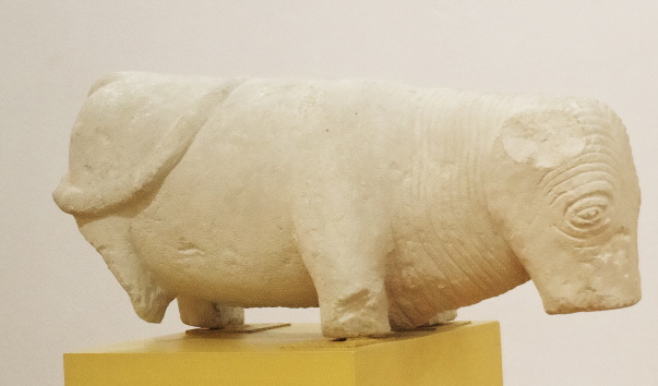 LOLA4596.jpg