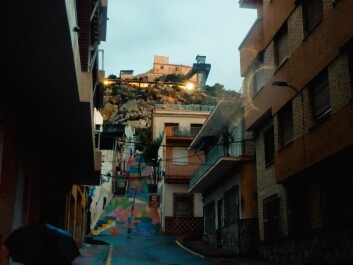 photo 2147737