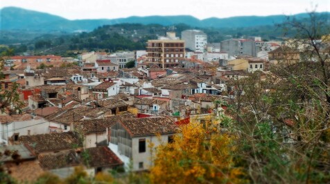 photo 2114764
