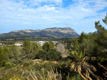 photo 2147182