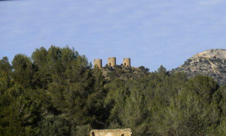 photo 2147195