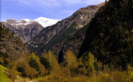 photo 2142239