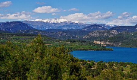 photo 2142524