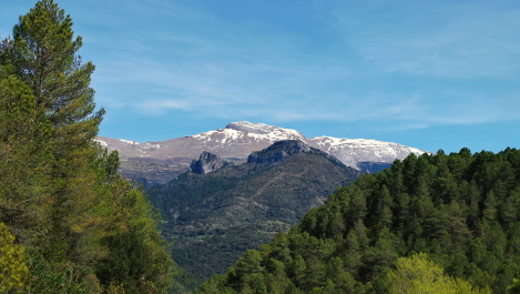 photo 2149427