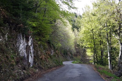 photo 2153473
