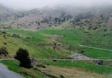 photo 2153485