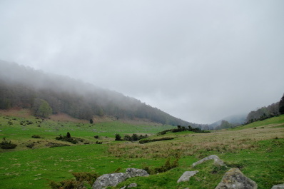 photo 2153489