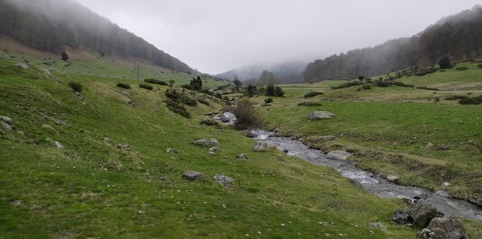 photo 2153490
