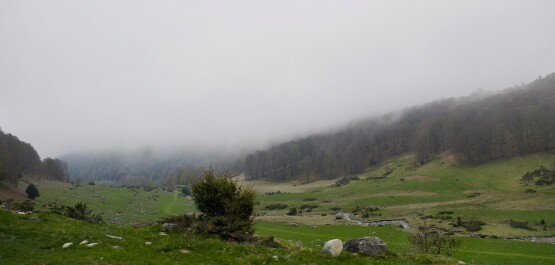 photo 2153492