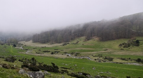 photo 2153493