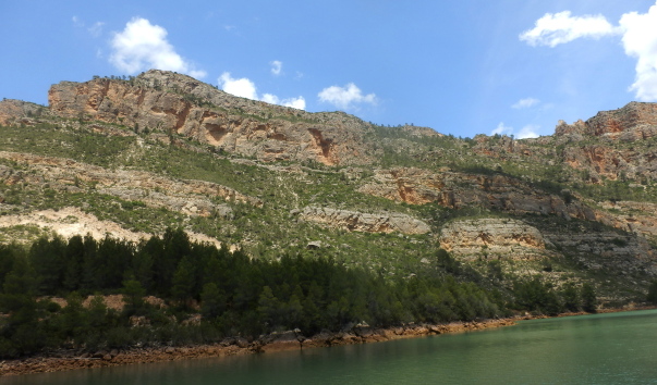 P1010555.jpg