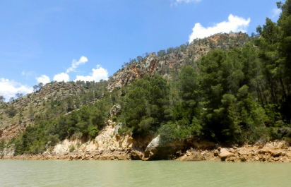 photo 2154488