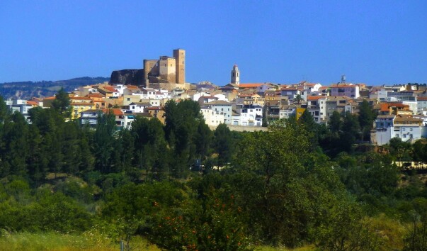 P1011230.jpg
