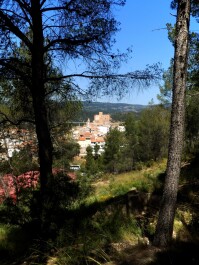 photo 2154034