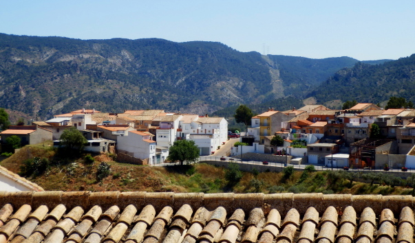 P1011272.jpg
