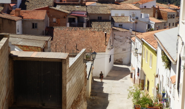 P1011288.jpg