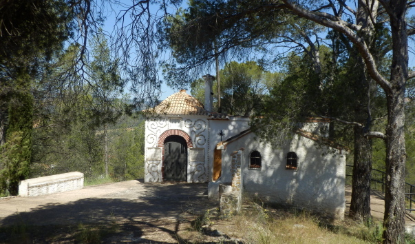P1011243.jpg