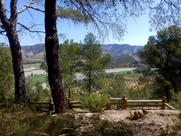 photo 2154048