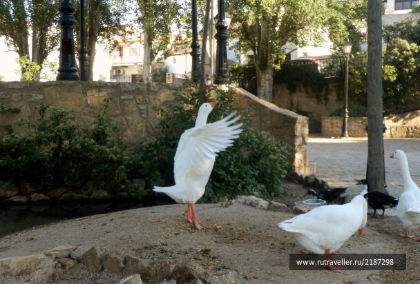 photo 2153318