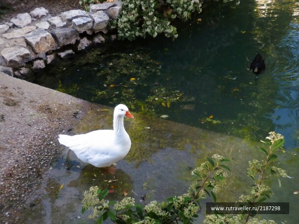 photo 2153319