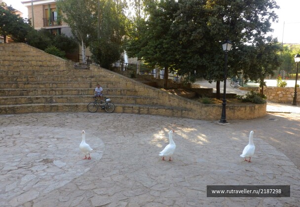 photo 2153320
