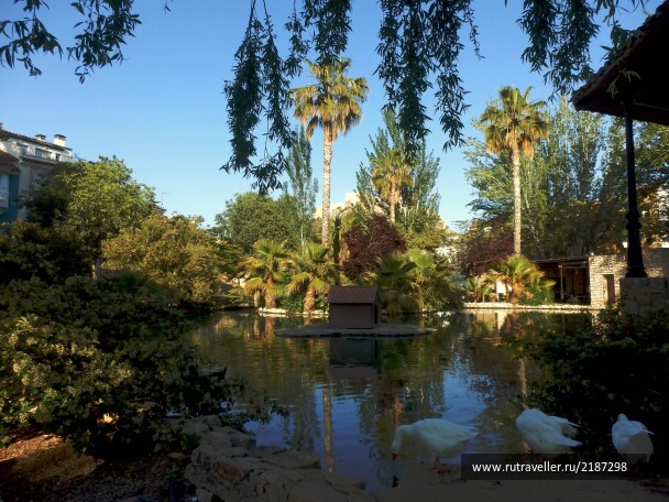 photo 2153323