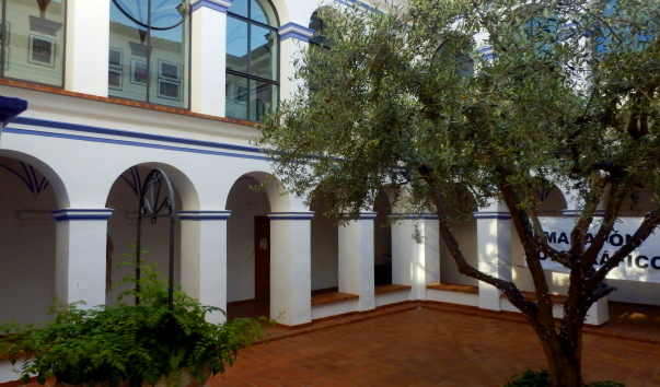 P1011440_1.jpg