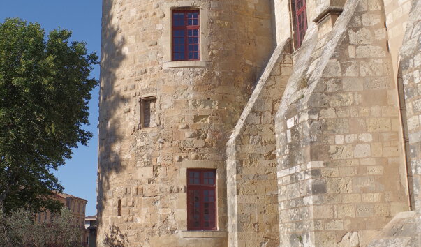IMGP2372.jpg