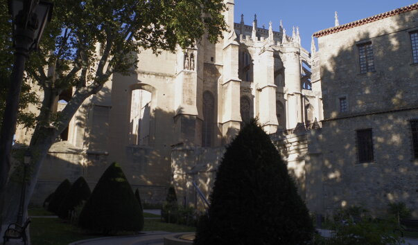 IMGP2393.jpg
