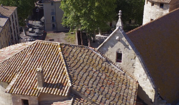 IMGP2130.jpg